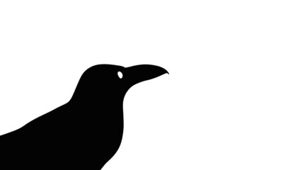 Black wild crow silhouette.