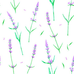 Fototapeta na wymiar Lavender seamless pattern hand drawn digital illustration. Provence flowers. Aromatherapy, spa and cosmetics pattern.