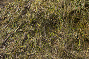 Straw Stacked After Harvest in autumn