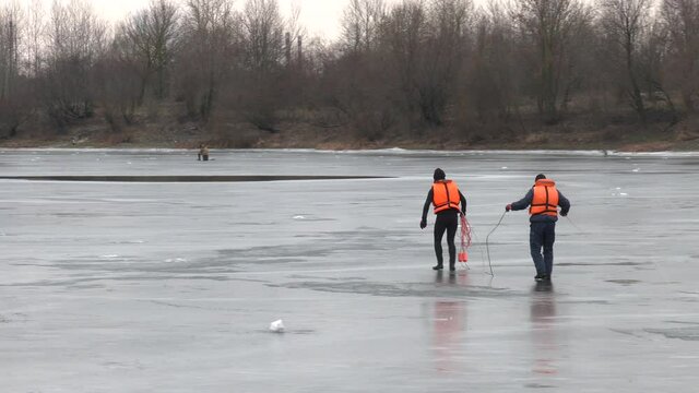 Search and rescue work in winter on the forest river, working on thin ice with insurance. A man walks through a frozen river in winter. Snow and winter nature.
