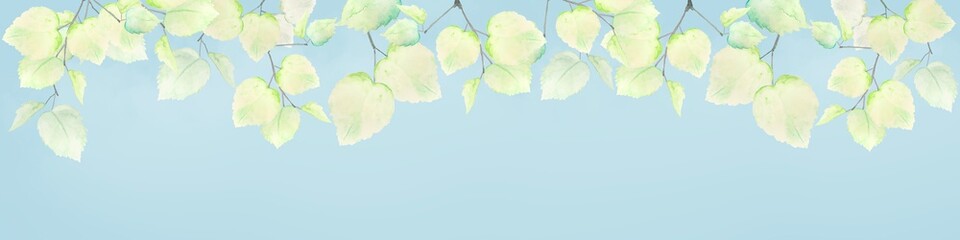 木漏れ日　夏　青　木　爽やか　フレーム　背景　新緑　自然　水彩　風