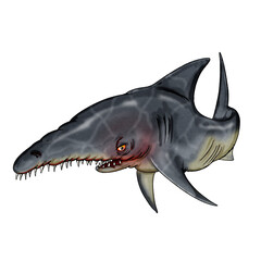 Toothy scary shark. Illustration on white background.