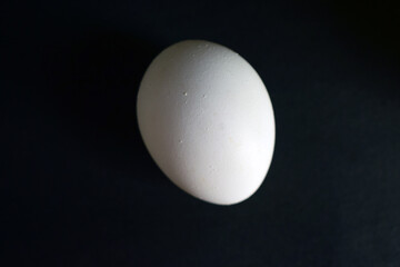 Side View of Closeup White Egg on On isolated Black Background