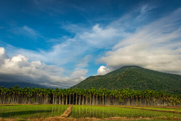 Mountains Velliangiri view with blue sky and green forest