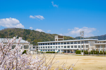 桜と学校　春　入学イメージ