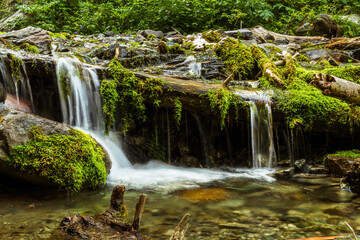 waterfall in the forest mountains