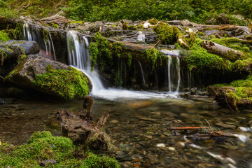 Fototapeta na wymiar waterfall in the forest mountains