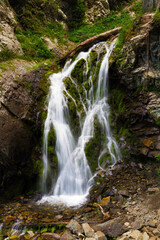 Naklejka premium waterfall in the forest mountains