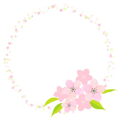 Fototapeta na wymiar Frame material of cherry blossom illustration (vector, white background, cut out)