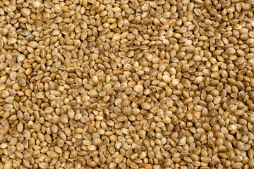 Cannabis seeds. Organic Hemp seed. texture. Hemp seeds background