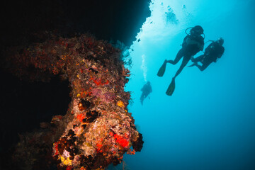 Scuba divers swimming among colorful reef ecosystems underwater, surrounded by schools of small...