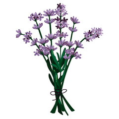 Naklejka na ściany i meble bouquet of lavender. Vector graphics. eps