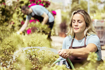 Woman holding hose, squatting and watering plants. Blurred man arranging flowers. Two gardeners...
