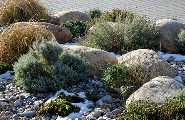 ornamental flower bed with perennial pine and gray granite boulders, mulched bark and pebbles in an...