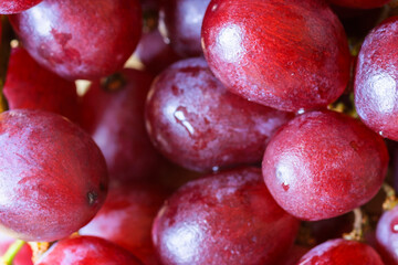 Close up of a bunch of red grapes
