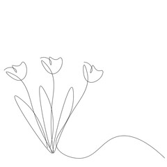 Flower tulip line drawing, vector illustration