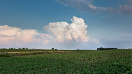 Developing Storm. Beautiful horizontal photo taken over a green soybean field in rural Midwest USA....