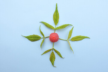 Ripe raspberries with green leaf on blue background. top view