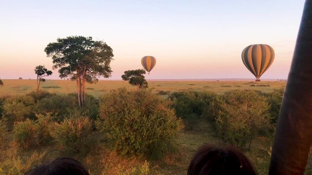 Beautiful flight in hot air balloon overlooking vast grassland and balloons during colorful sunset across Maasai Mara National Reserve in, African Savanna, Kenya, Africa.