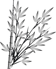 vector drawing bamboo 