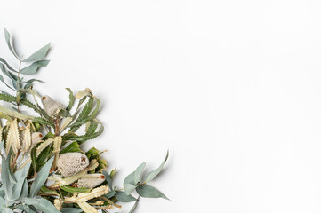 Beautiful flat lay floral arrangement of Australian natives Banksias and Eucalyptus leaves on a white background. Room for text or copy.