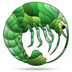 A stained glass illustration with a bright green shrimp, the animal isolated on a white background