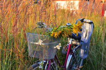 bike with yellow flowers at sunset in the grass summer nature