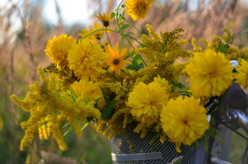 yellow flowers bike with yellow flowers at sunset in the grass summer nature 