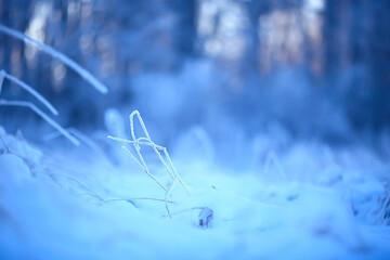 branches covered with hoarfrost background, abstract landscape snow winter nature frost
