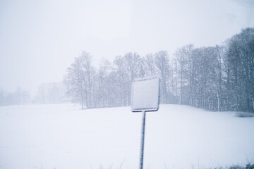 snow covered road sign in winter in front of forest