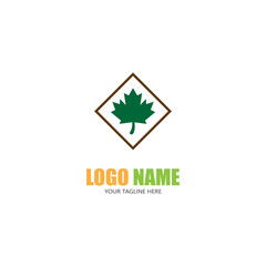 Maple leaf vector illustration design template