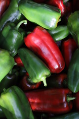 field peppers