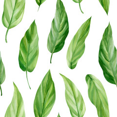 Seamless pattern with tropical leaf palm. Green leaves, watercolor drawing