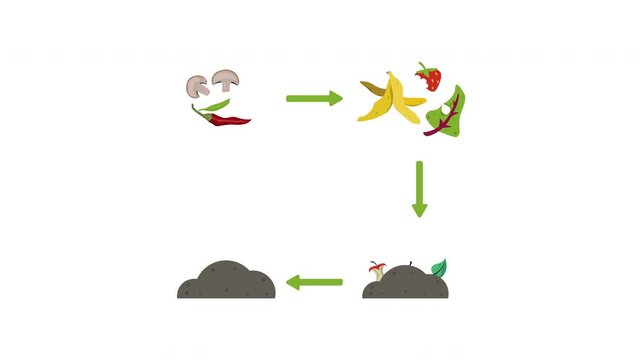 Organic recycle compost flat animation.
