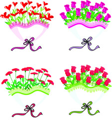 vector drawing flowers rose set