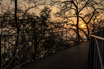 sunset orange sky with tree shadow at dusk