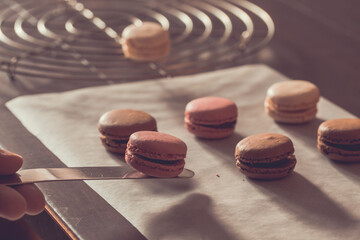 Close up of homemade macaroons being lifted onto a cooling rack by a home baker