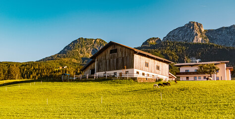 Obraz na płótnie Canvas Beautiful alpine summer view near Abtenau, Salzburg, Austria