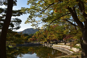 autumn landscape with trees