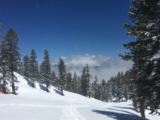 Scenic landscape view of the fog rolling onto a mountain covered in snow, ski and snowboard track, framed by pine trees.