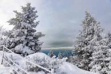 Obraz premium Velika planina