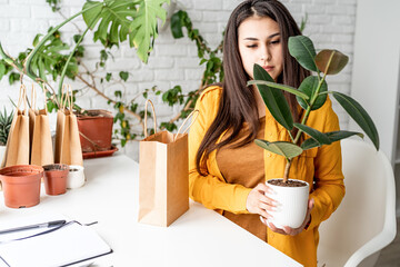 Young woman gardener taking care of the plants ready to sell it