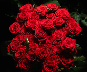 Red roses collected in a gift bouquet on a dark background. Greeting card