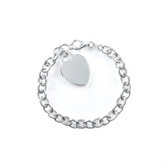 Silver gold pendant fragment necklace link chain on white backround isolated