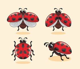 Red Ladybug Cartoon Coccinellidae Illustrations Set Collections