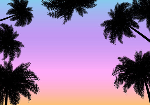 Tropical summer sunset with black palm tree silhouette. Sky in the background in yellow, purple, pink and blue colors.