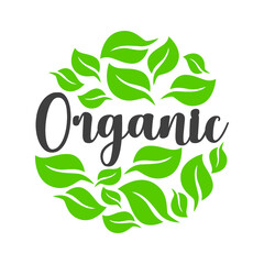 Organic food icon with leaf. 