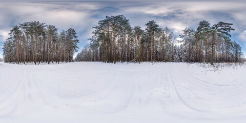 Winter full spherical hdri panorama 360 degrees angle view in snowy pinery forest with blue sky and...