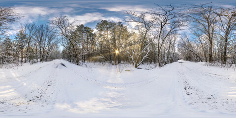 Winter full spherical hdri panorama 360 degrees angle view in snowy pinery forest with blue sky and sunny evening in equirectangular projection. VR AR content