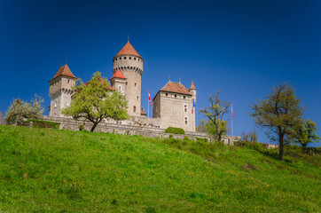 Le château de Montrottier, Lovagny